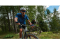 Two men in helmets and sportswear mountain biking on a forest trail.