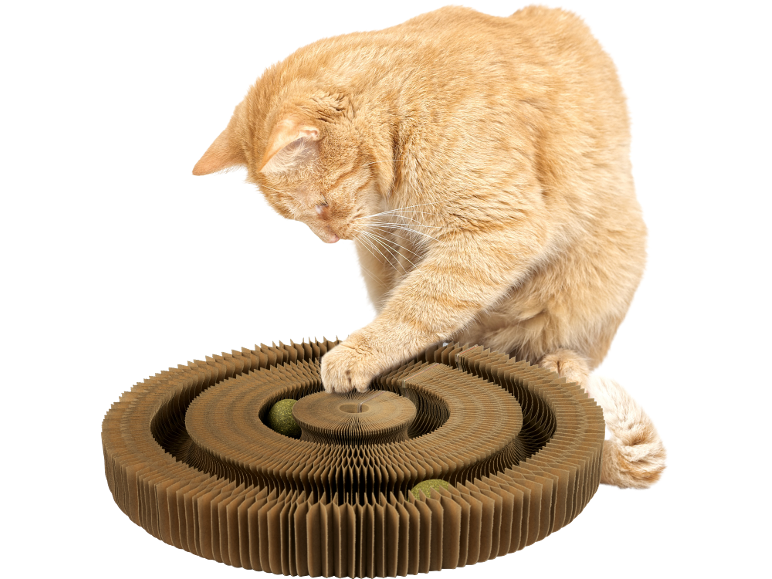 Ginger cat playing with a circular cardboard scratcher and a ball.