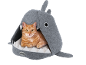 Ginger cat lying in a grey shark-shaped pet bed.