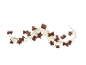 Chocolate cereals in star, bone, and square shapes, flying in a milk splash.