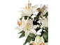 Close-up of white lilies with orange stamens against a black background.
