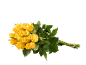 Bouquet of yellow roses with green stems, tied together.