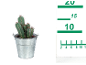 Cactus in a metal pot with a measuring ruler next to it.