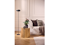 Living room interior: sofa, wooden side table with plant, and floor lamp.