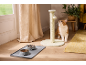 Cat looking at scratching post toy, food bowls on the floor.