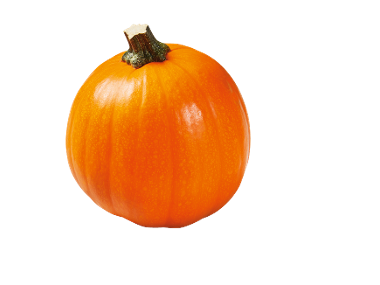 Small Irish Pumpkin