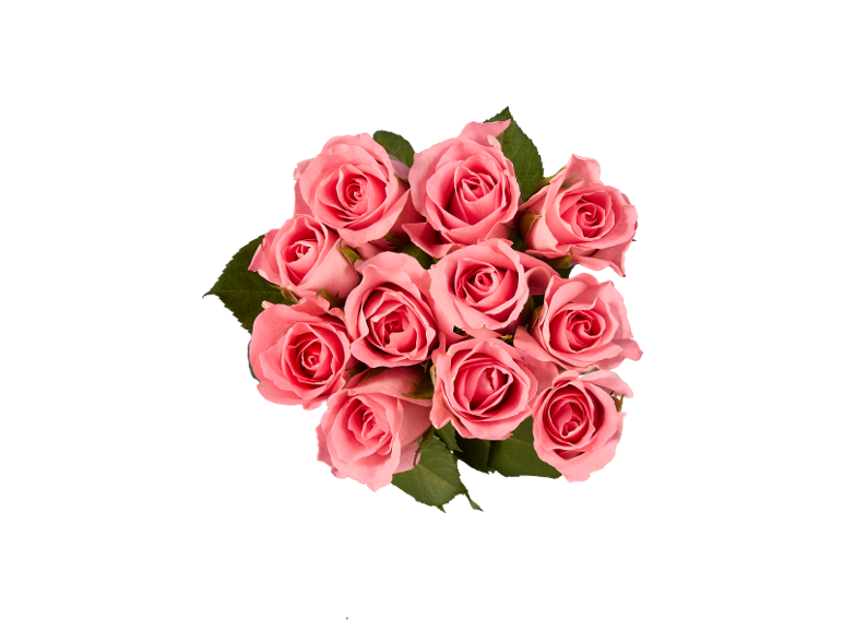 Bouquet of pink roses with green leaves on a black background