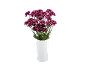 Purple and white chrysanthemums in a white vase