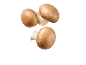 Three brown portobello mushrooms with white stems against a black background.