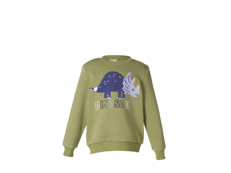 Green sweatshirt with sequin dinosaur print and 'DINOSAUR' text.
