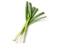 A bunch of fresh spring onions with green stalks and white roots on a white background.