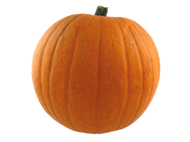 Medium Irish Pumpkin
