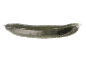 Fresh cucumber individually packaged in clear plastic
