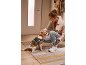 Woman petting a beagle wearing a dog harness, holding a retractable dog leash.