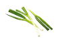 Fresh spring onions with water droplets on a black background.