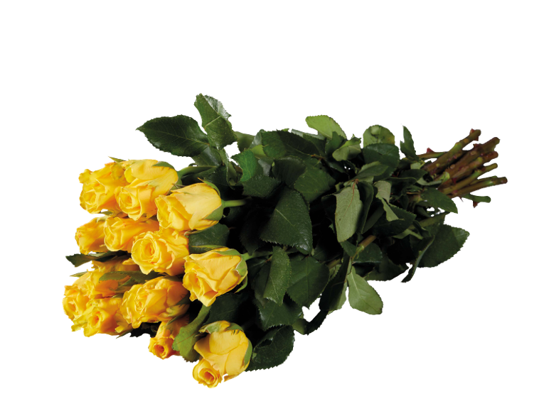 A vibrant bouquet of yellow roses with green leaves, arranged on a black background.