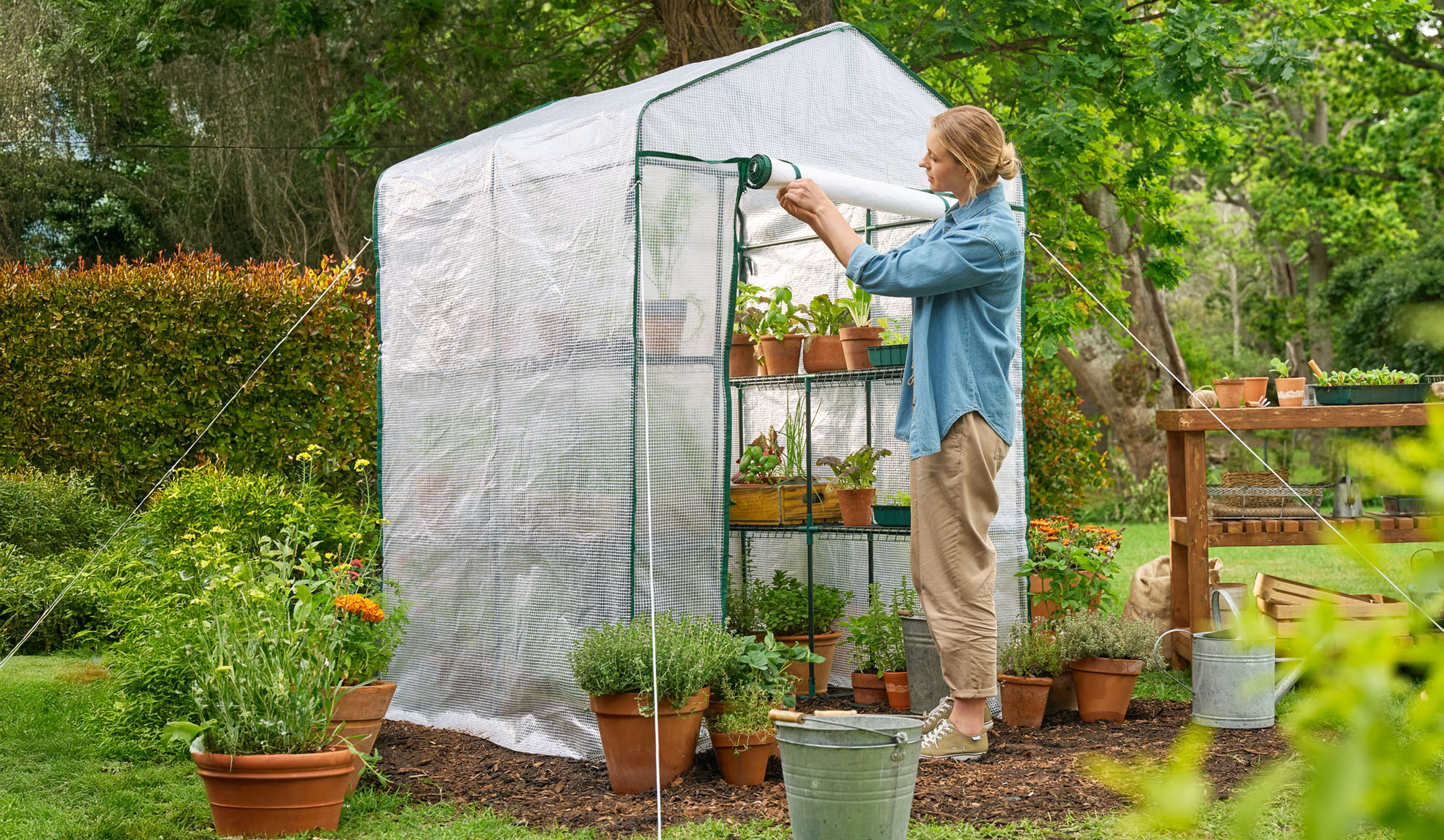 Woman in garden opening a greenhouse with plants and seedlings.