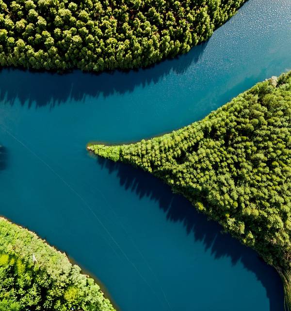 Aerial view of a winding river with lush green forests on its banks.
