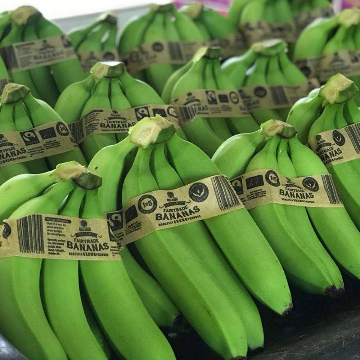 Fair Trade Bananas