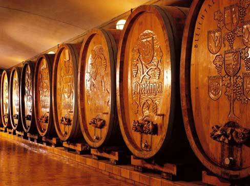 Row of large wooden barrels with carved motifs in a wine cellar.