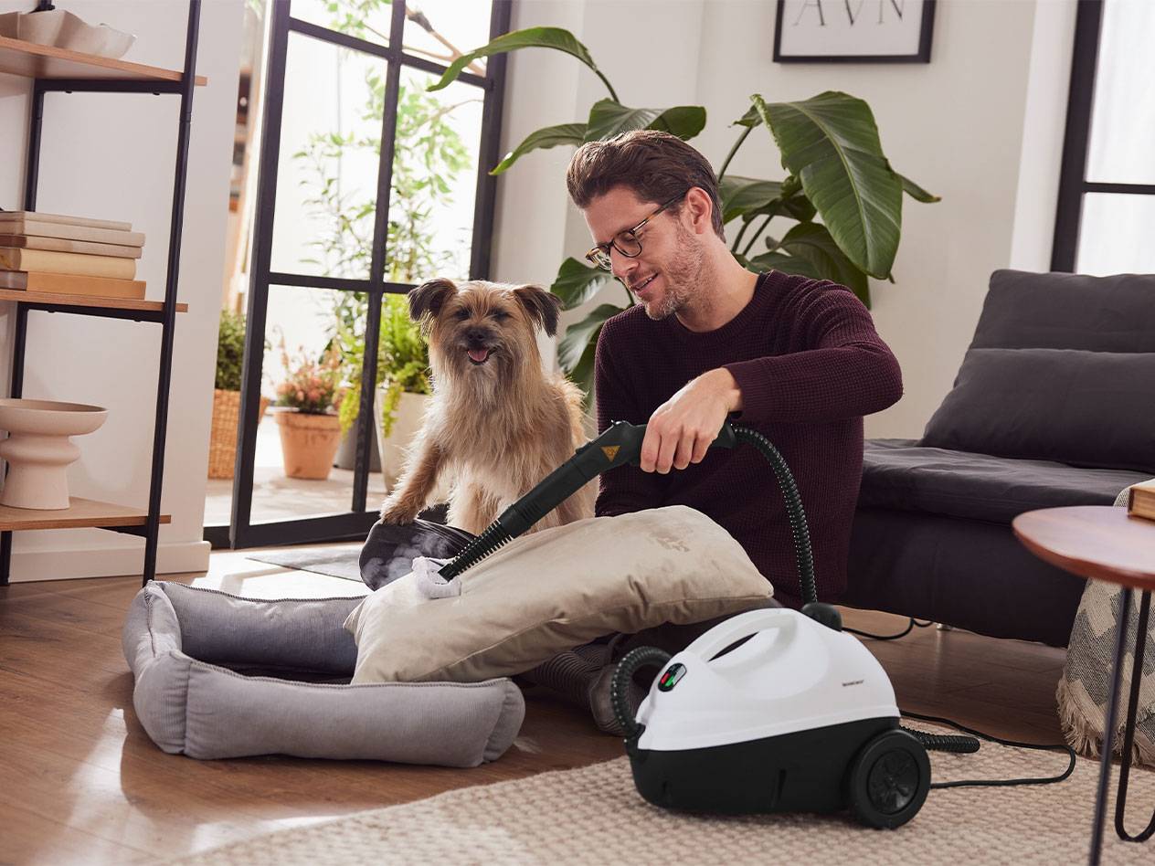 Man steam cleaning a cushion next to a dog and a dog bed.