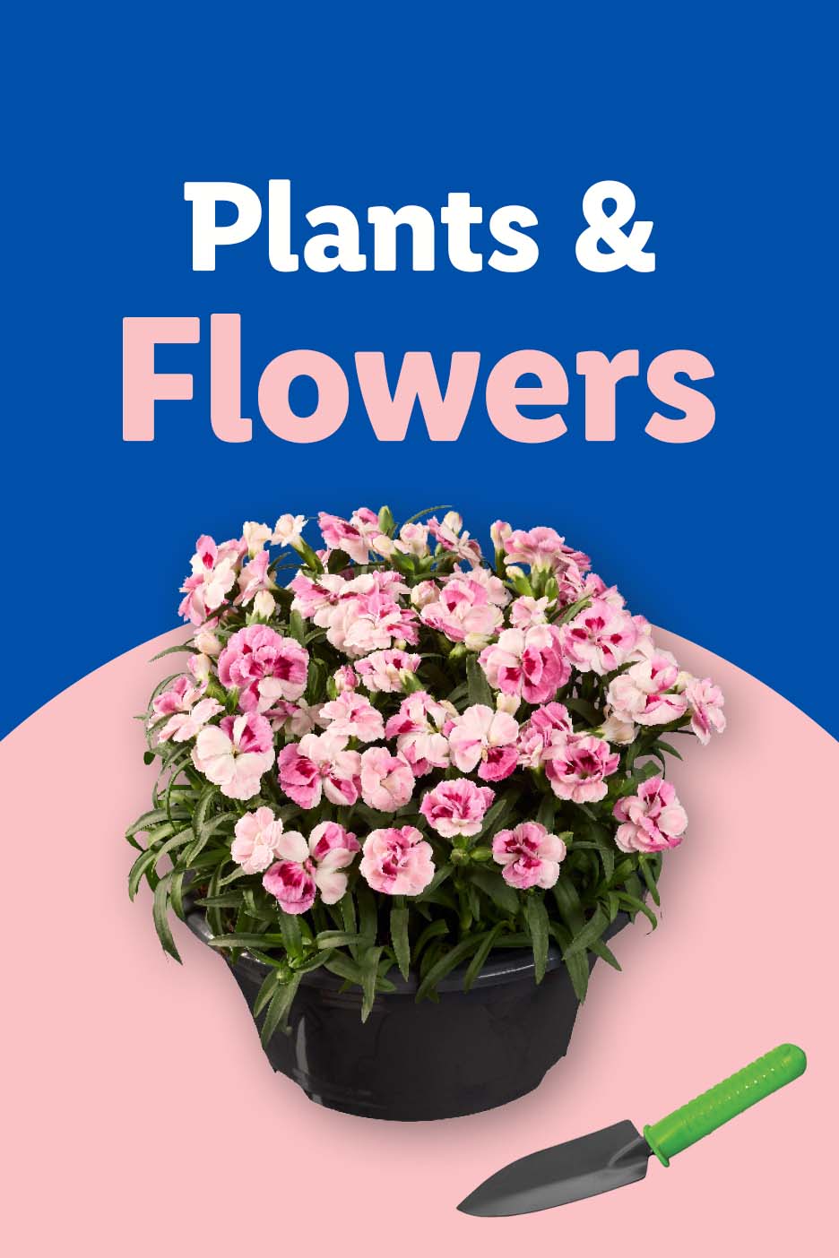 Potted pink and white flowers with a small gardening trowel, text reads 'Plants & Flowers'.
