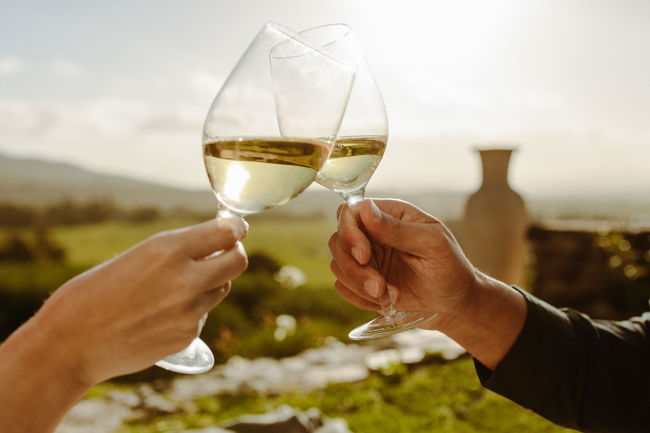 Two hands toasting with glasses of white wine in a sunny, rural setting.