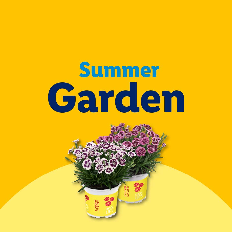 Two potted plants with purple and white flowers on a yellow background with text 'Summer Garden'.