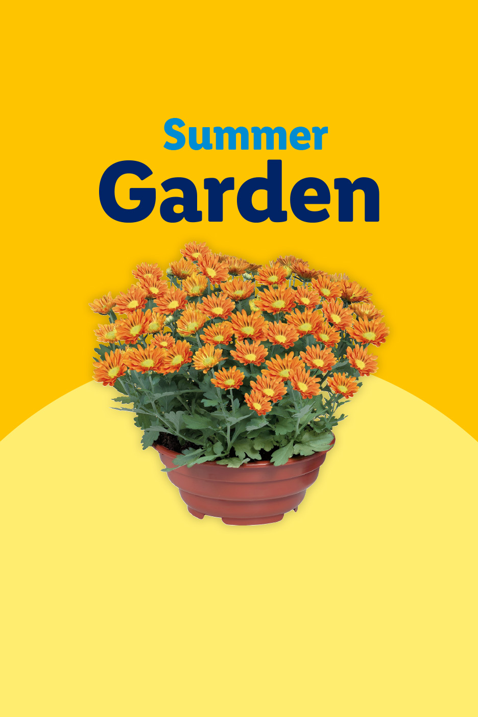 Potted orange chrysanthemums on a yellow background with text 'Summer Garden'.