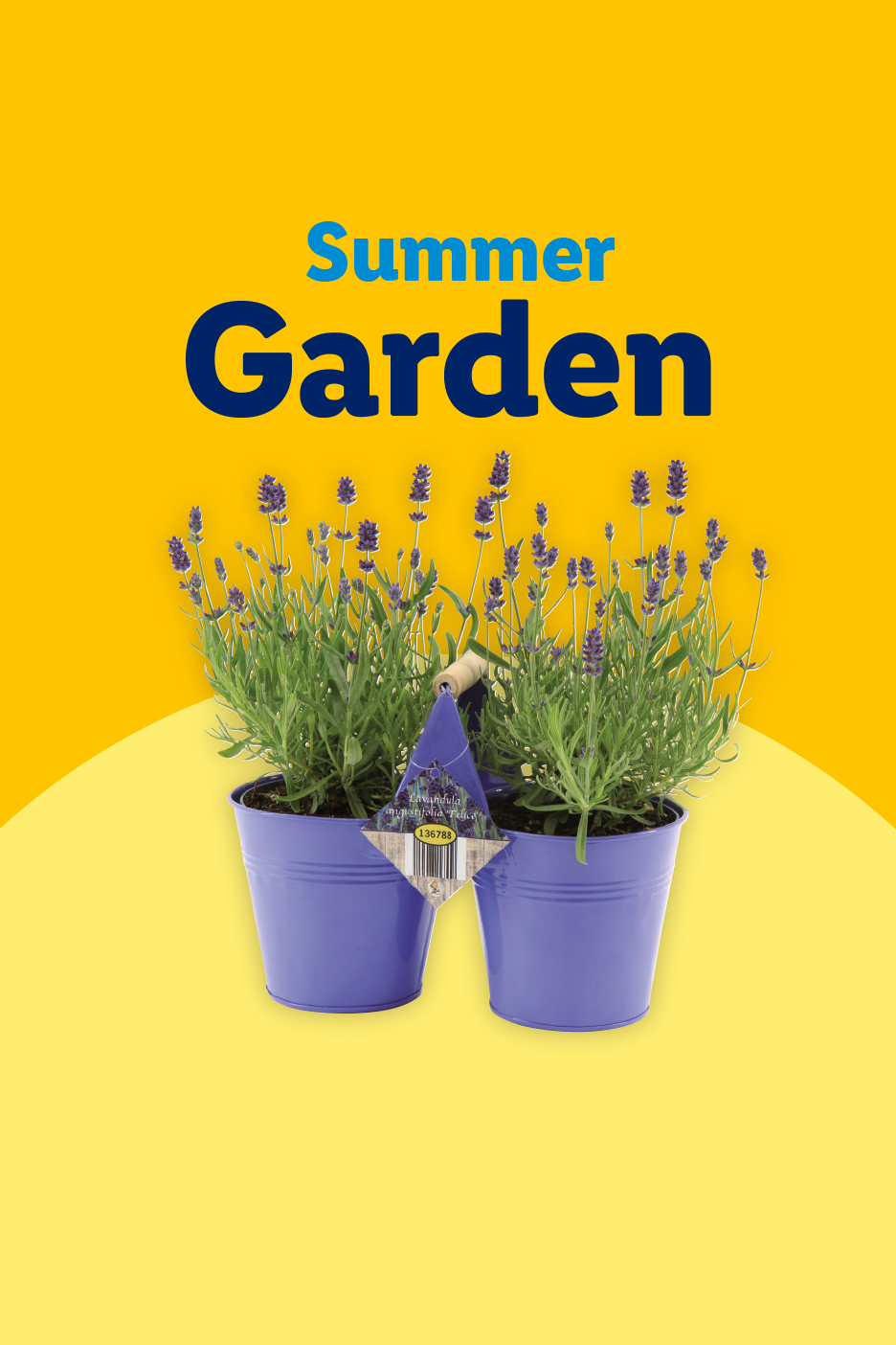 Two potted lavender plants with 'Summer Garden' text on a yellow background.