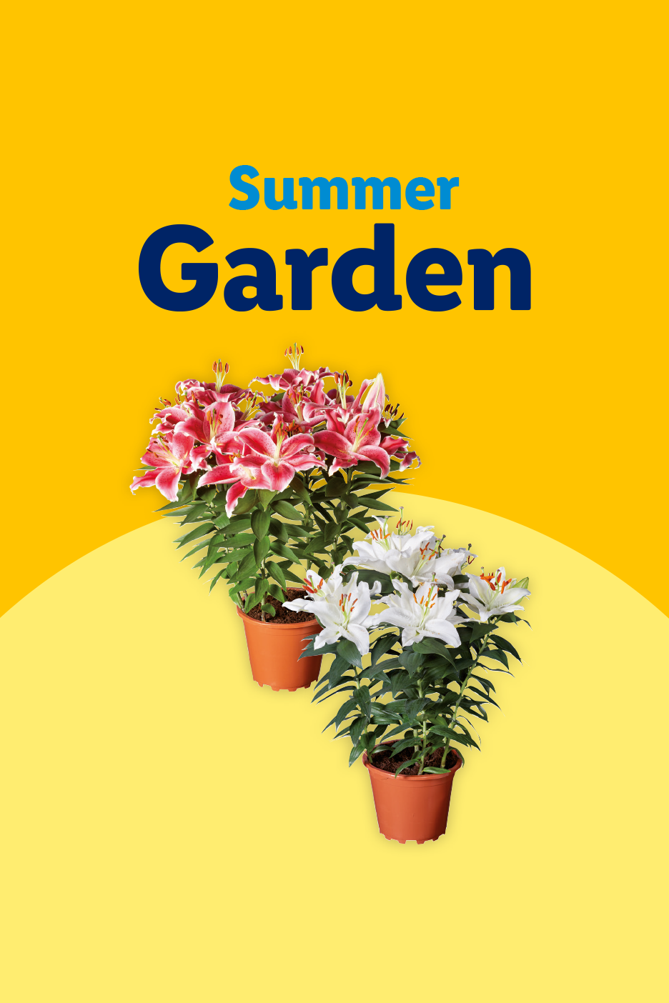 Two potted lily plants, one red and one white, with text 'Summer Garden' on a yellow background.