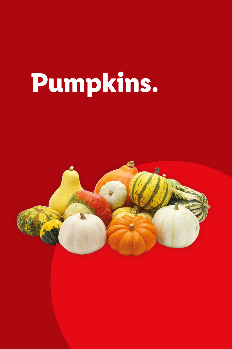 A variety of colorful pumpkins and gourds on a red background with the text Pumpkins.