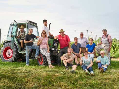 A group of people, some on and around a tractor, in a vineyard.