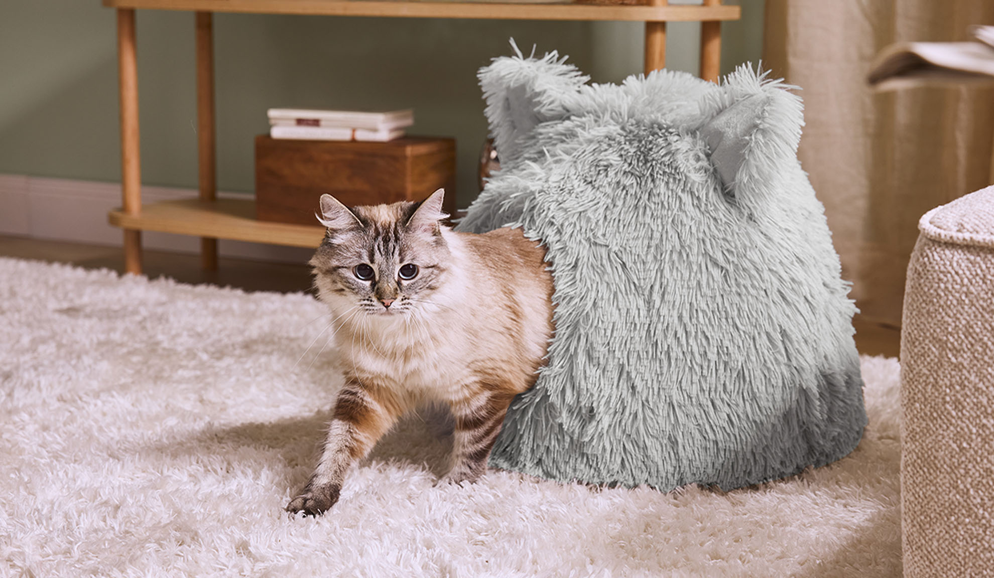 Cat emerging from a grey fluffy bed on a white rug.