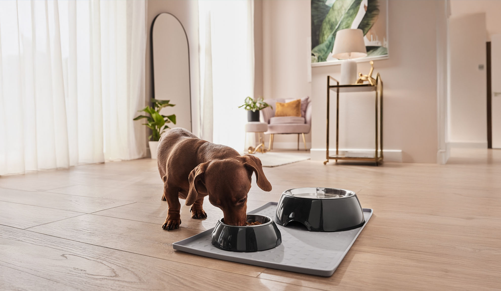 A dachshund eats from its dog bowl on a protective mat.
