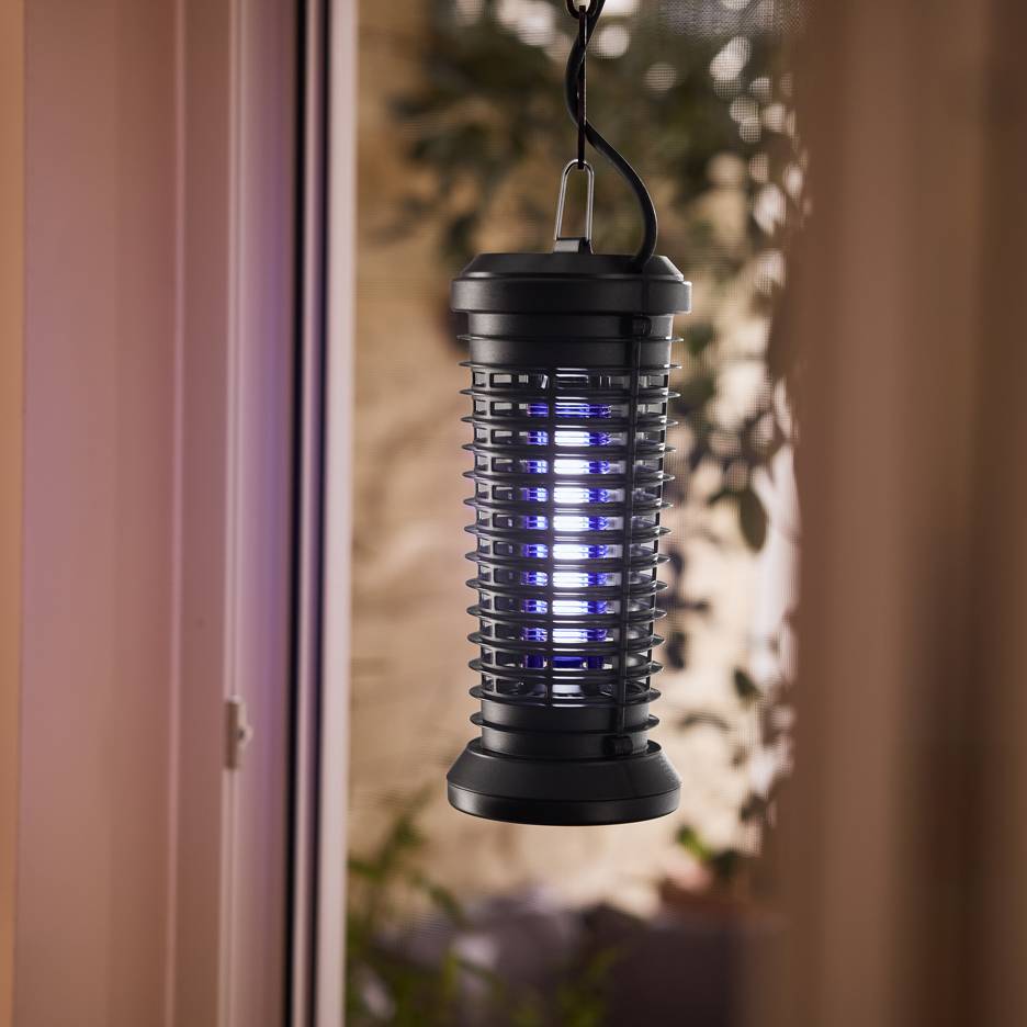 Electric insect killer with blue light hanging by a window.